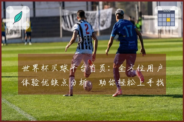 世界杯买球平台首页：全方位用户体验优缺点分析，助你轻松上手找到心仪赛事入口