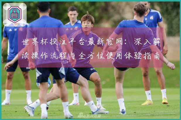 世界杯投注平台最新官网：深入解读操作流程与全方位使用体验指南