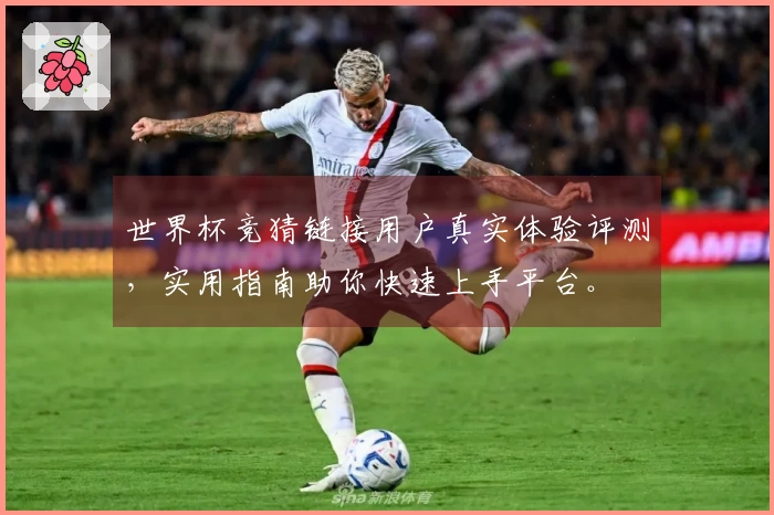 世界杯竞猜链接用户真实体验评测，实用指南助你快速上手平台。