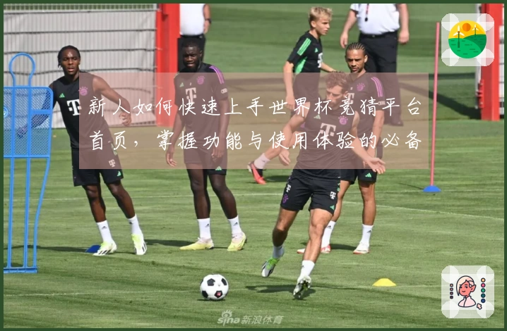 新人如何快速上手世界杯竞猜平台首页，掌握功能与使用体验的必备指南